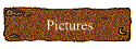 Pictures